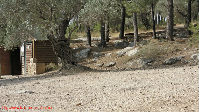 SANY0182
