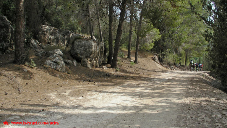 SANY0195