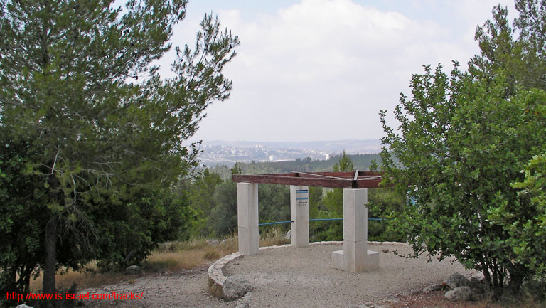 SANY0200