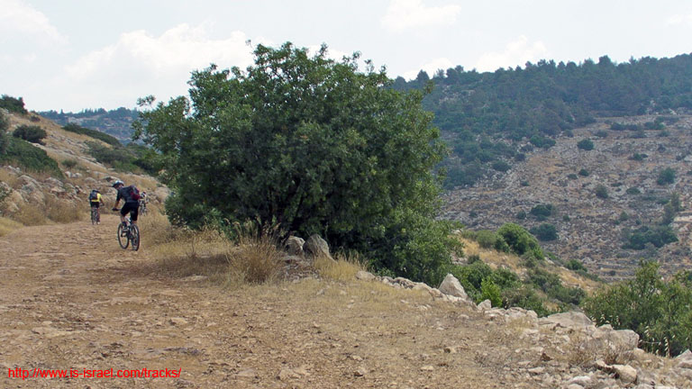 SANY0214