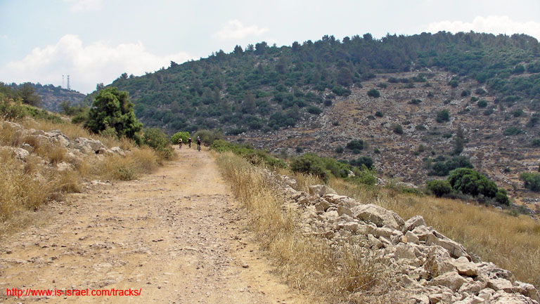 SANY0215