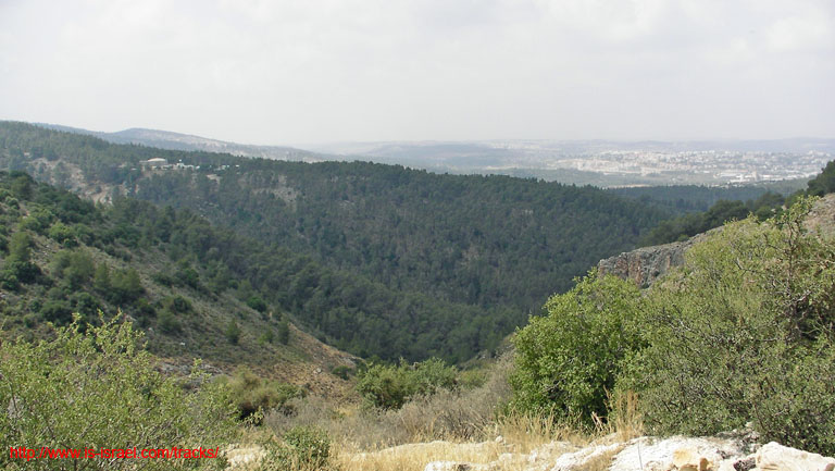 SANY0216