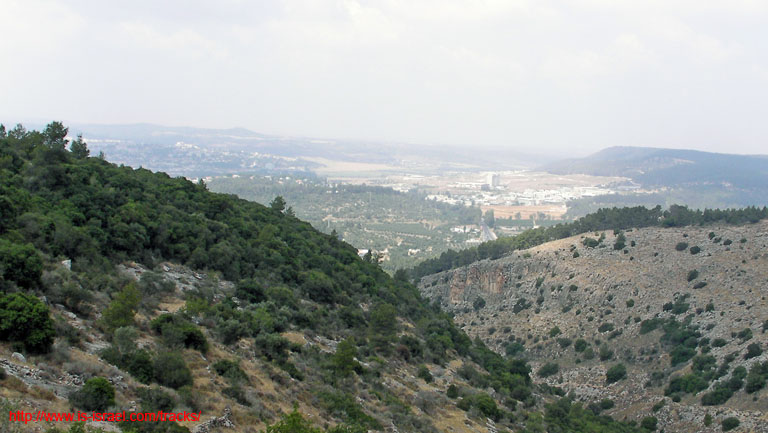 SANY0218