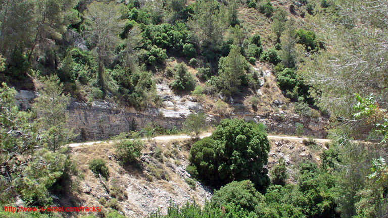 SANY0264