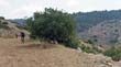 SANY0214