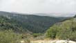 SANY0216
