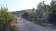DSC00737