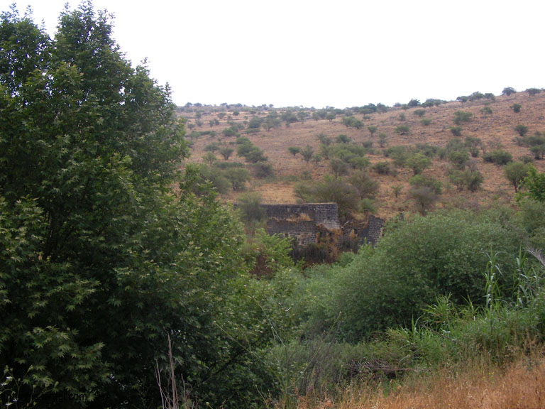 SANY6659
