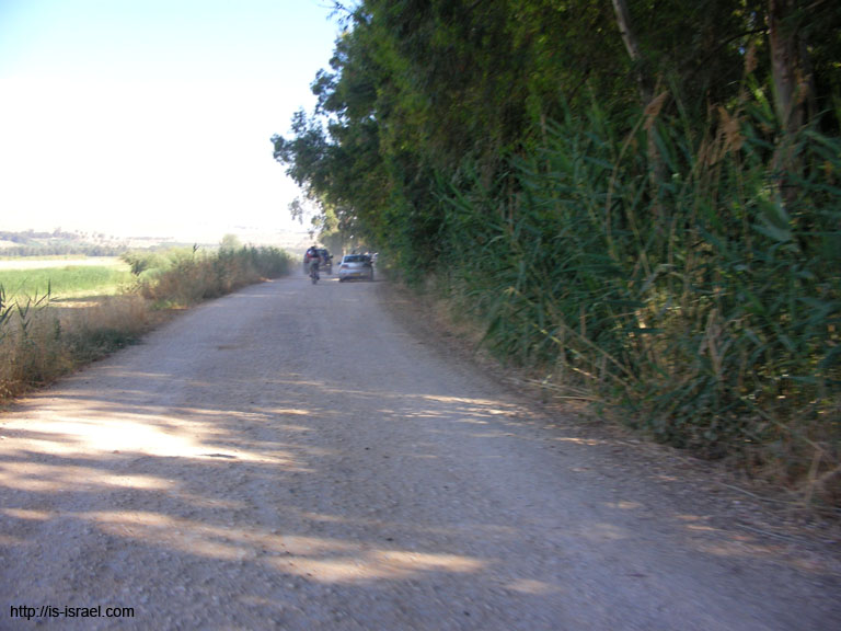 SANY6887