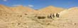 panorama1