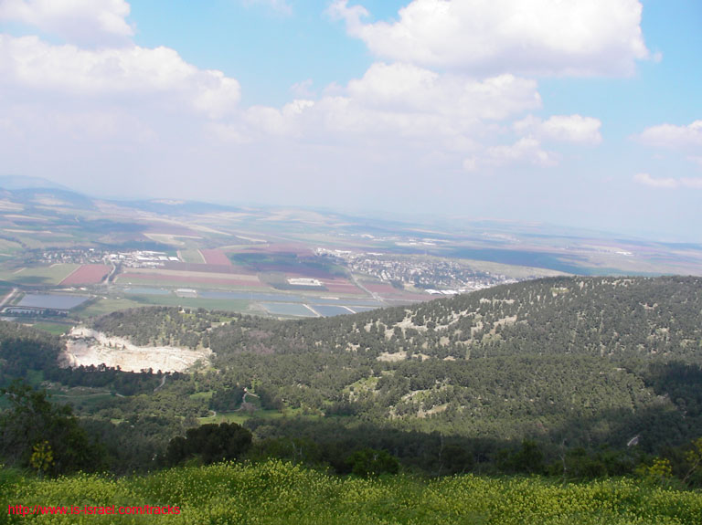 SANY6189