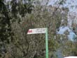 SANY6141