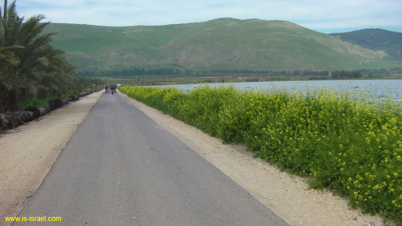 SANY0744
