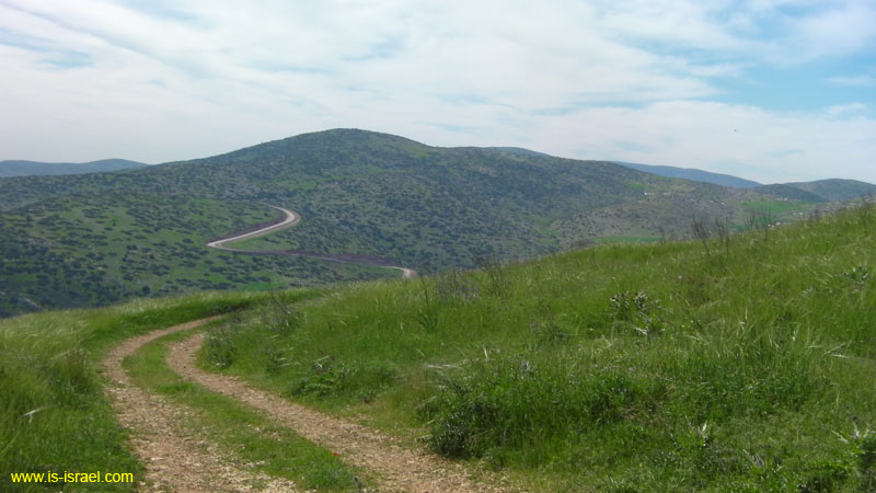 SANY0771