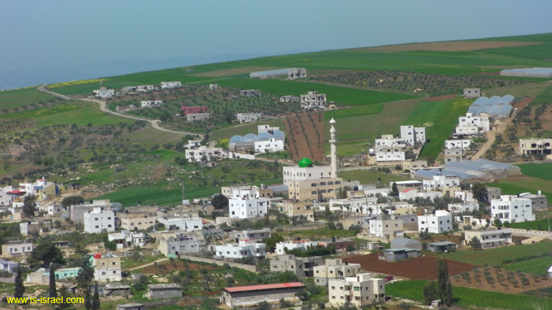 SANY0799