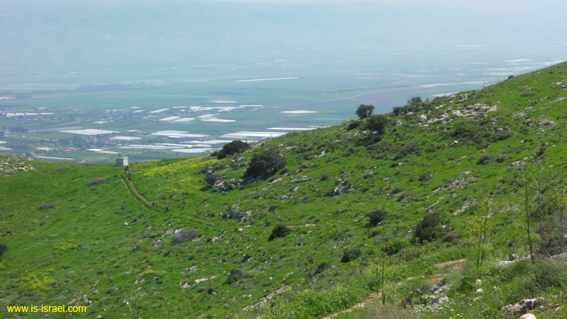 SANY0821
