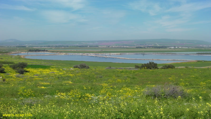 SANY0831