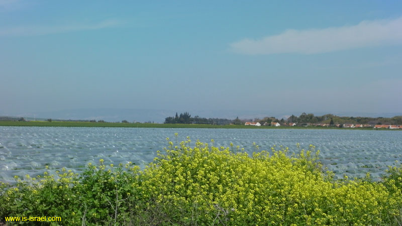 SANY0833