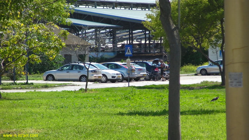 SANY0834