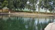 SANY0754