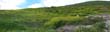 panorama1