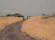 PICT6738