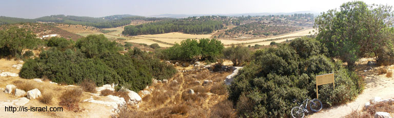 panorama4