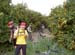 PICT4916