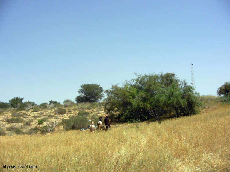 SANY6169