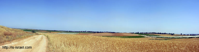 panorama1