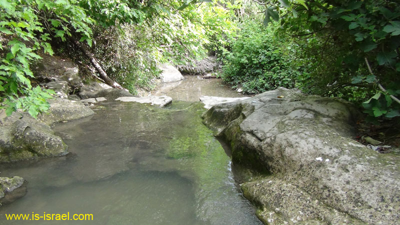 DSC05863