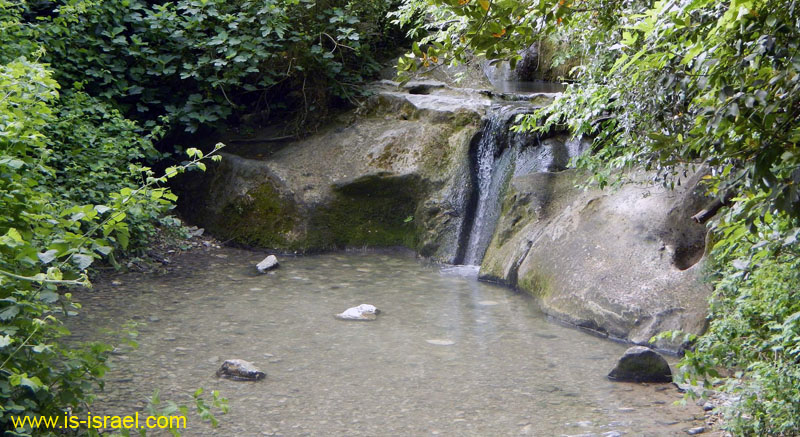 DSC05874