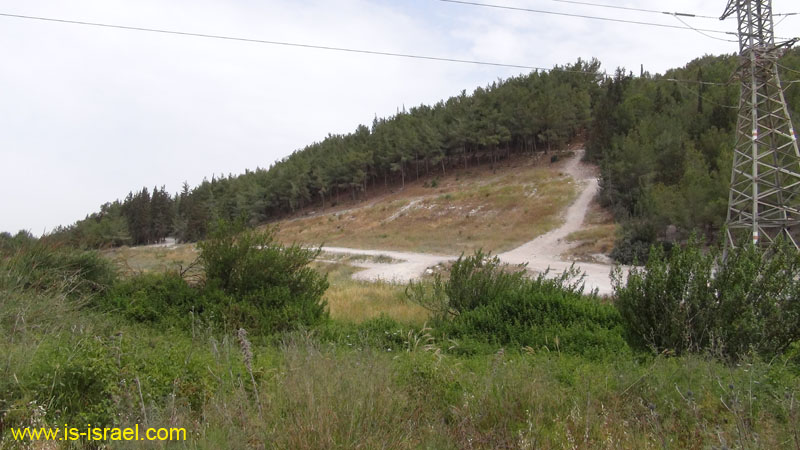 DSC05895