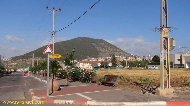 DSC01881