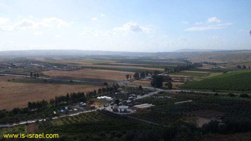 DSC01885