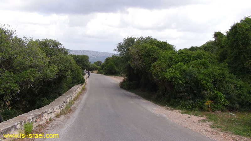 DSC01945