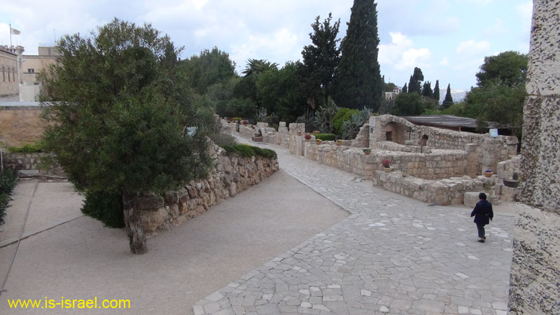 DSC01983