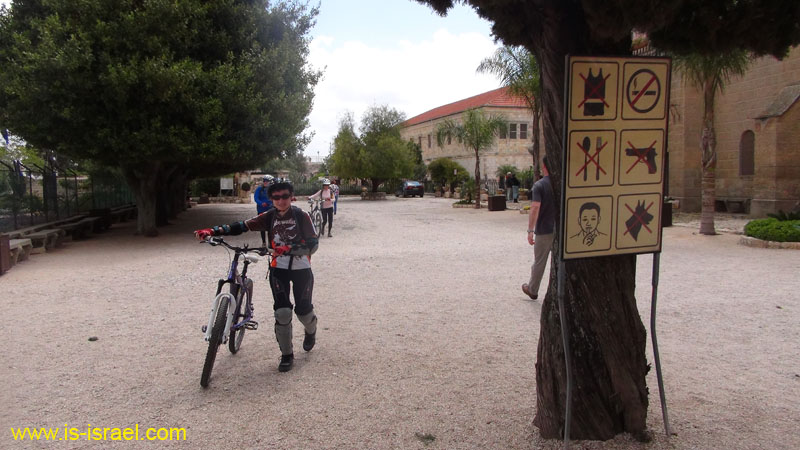 DSC02010