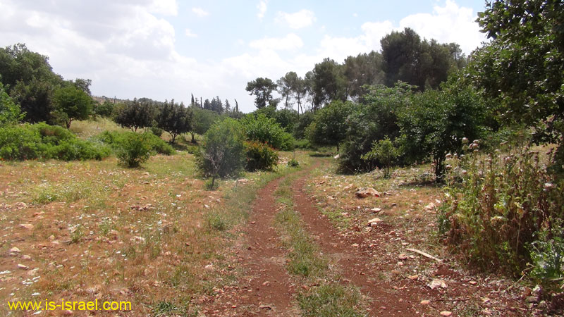 DSC02017