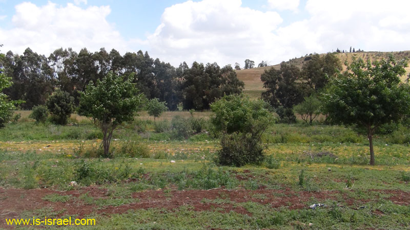 DSC02022