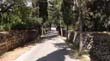 DSC01955