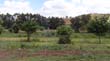 DSC02022