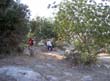 PICT6392