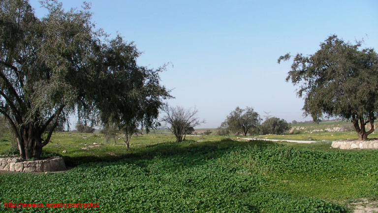 SANY6788