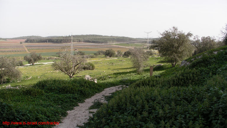 SANY6816