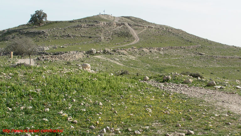 SANY6833