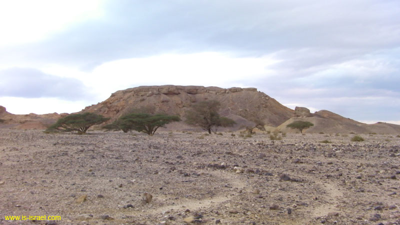 SANY0102