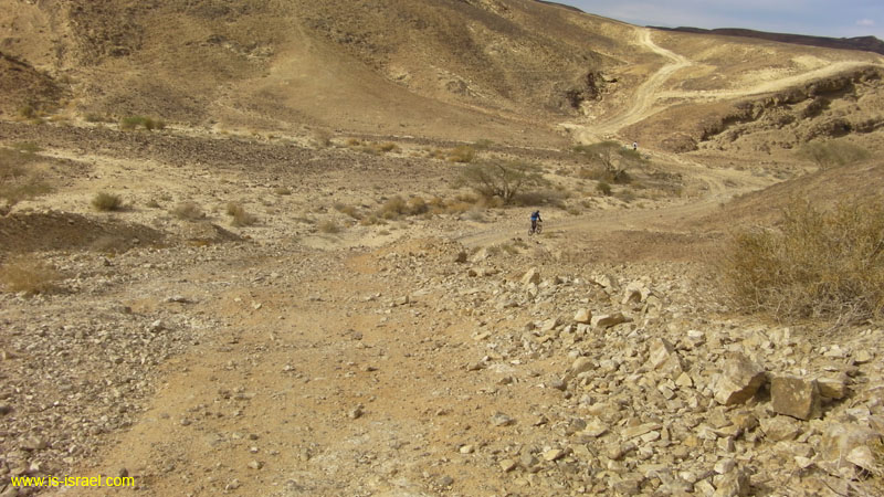 SANY0175