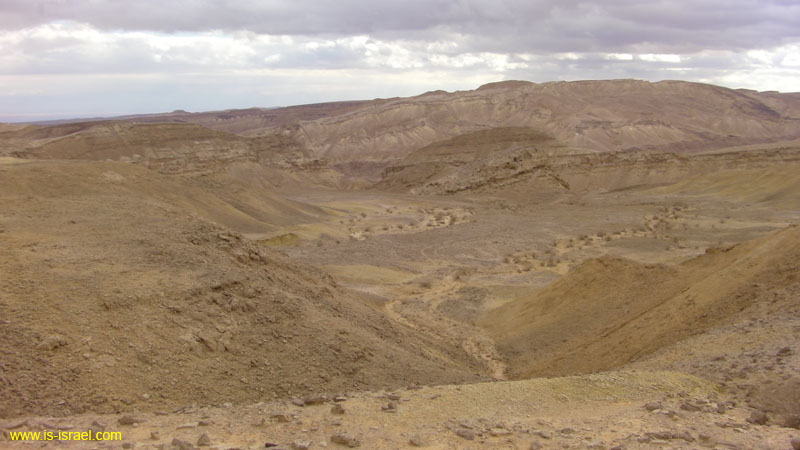 SANY0245