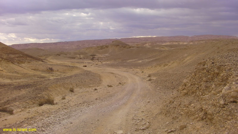 SANY0289